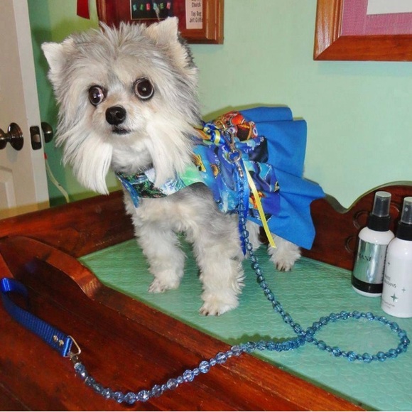 Fabuleash Other - Fabuleash Crystal sapphire Royal Blue Dog Leash